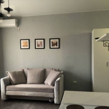 Сдается 1-комнатная квартира, 24,5 м²