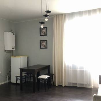 Сдается 1-комнатная квартира, 24,5 м²