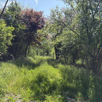 Продается Участок, 500 м²