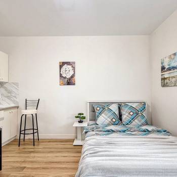 Сдается 1-комнатная квартира, 23,5 м²