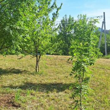 Продается Участок, 470 м²