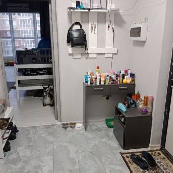 Сдается 2-х комнатная квартира, 77 м²