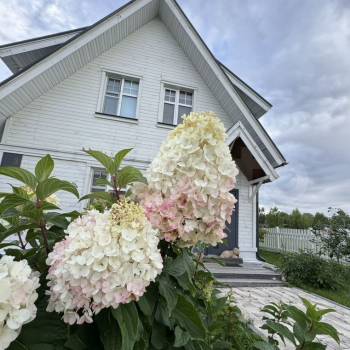 Сдается Дом, 109 м²