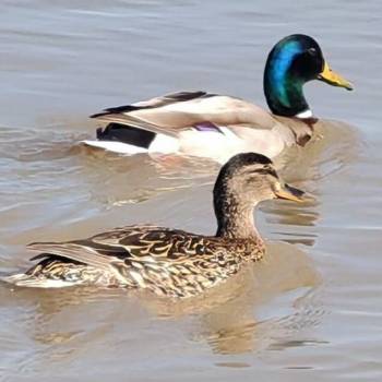 Продается Дом, 40 м²