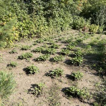 Продается Дом, 50 м²