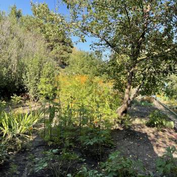 Продается Дом, 50 м²