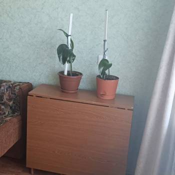 Сдается Комната, 18 м²