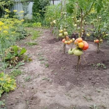 Продается Дом, 42 м²