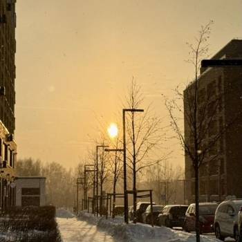 Сдается 1-комнатная квартира, 20,2 м²