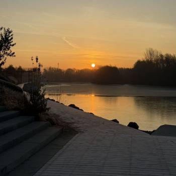 Сдается 1-комнатная квартира, 20,2 м²