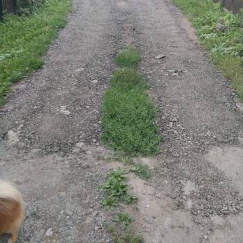 Продается Участок, 600 м²