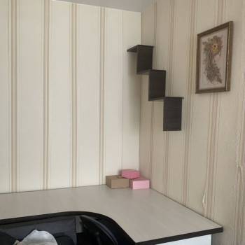 Сдается 1-комнатная квартира, 29 м²