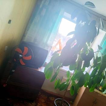 Сдается Комната, 59 м²