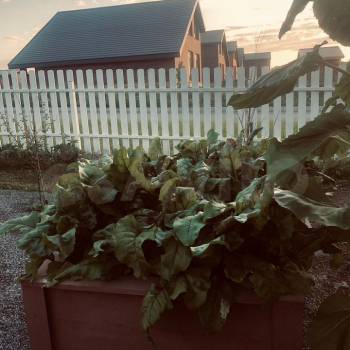 Продается Дом, 69 м²