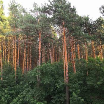 Продается 1-комнатная квартира, 30 м²