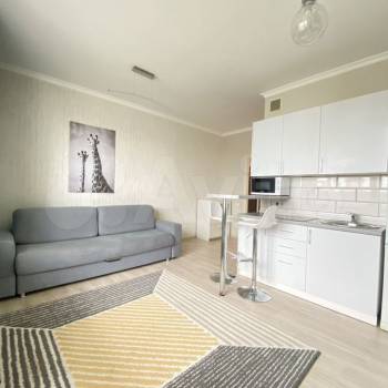 Сдается 1-комнатная квартира, 26 м²