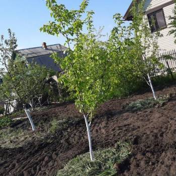 Продается Участок, 720 м²