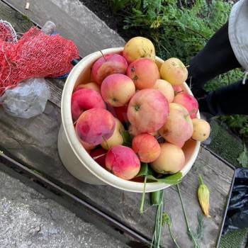 Продается Участок, 720 м²