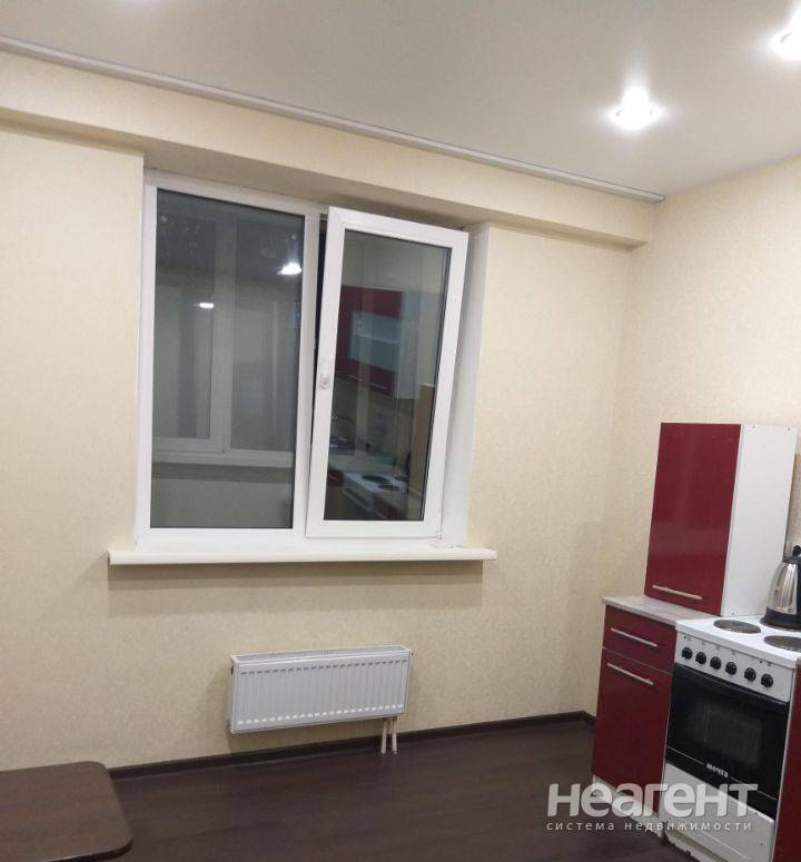 Фотография №3