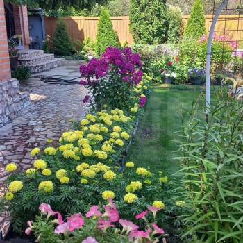 Сдается Дом, 200 м²