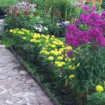 Сдается Дом, 200 м²