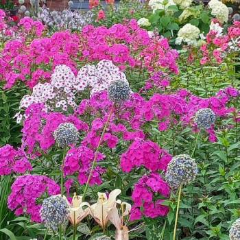 Сдается Дом, 200 м²