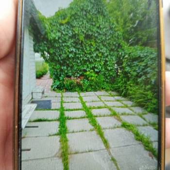 Сдается Дом, 60 м²