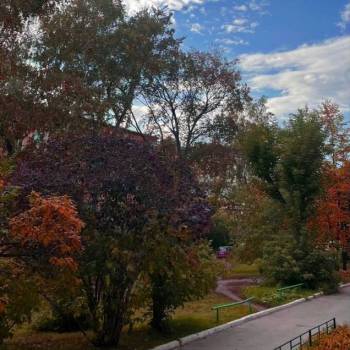 Сдается 2-х комнатная квартира, 42 м²