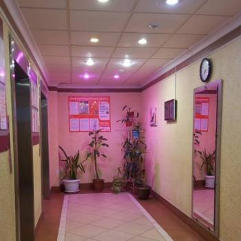 Сдается 1-комнатная квартира, 33 м²