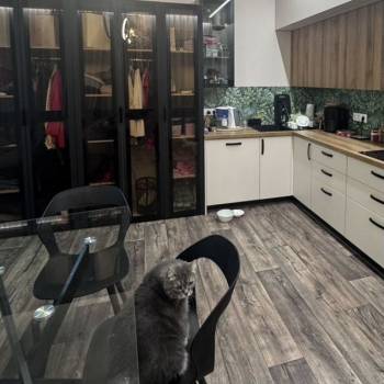 Сдается Многокомнатная квартира, 70 м²