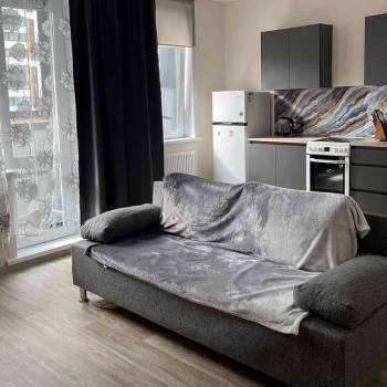 Сдается 1-комнатная квартира, 31,2 м²