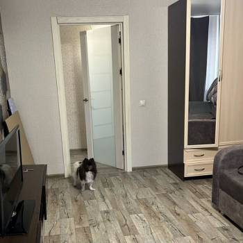 Сдается 1-комнатная квартира, 33 м²