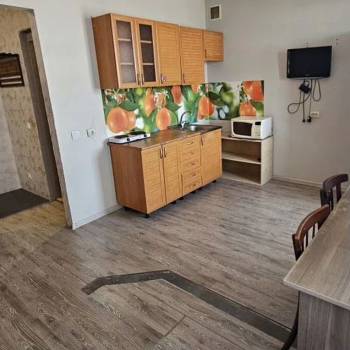 Сдается 1-комнатная квартира, 25,1 м²