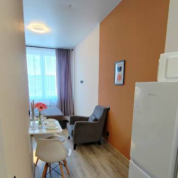Сдается 1-комнатная квартира, 20,9 м²