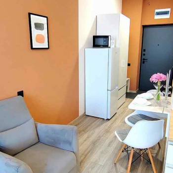 Сдается 1-комнатная квартира, 20,9 м²