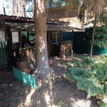 Сдается Дом, 25 м²