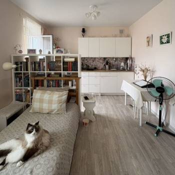 Продается 1-комнатная квартира, 25,8 м²
