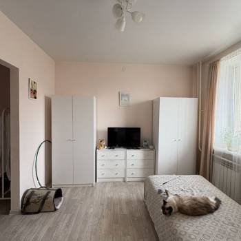 Продается 1-комнатная квартира, 25,8 м²