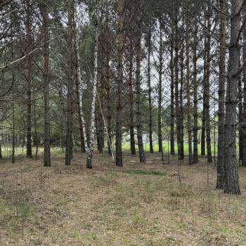 Продается Участок, 800 м²