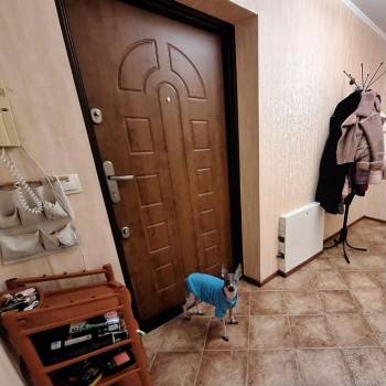 Продается 2-х комнатная квартира, 64,3 м²