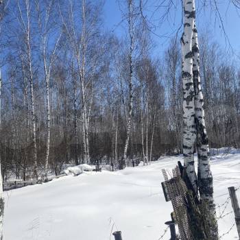Продается Участок, 400 м²