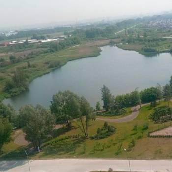 Сдается 1-комнатная квартира, 19,6 м²