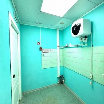 Сдается Нежилое помещение, 62,5 м²