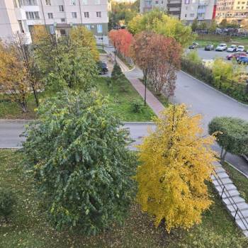 Сдается 1-комнатная квартира, 38 м²