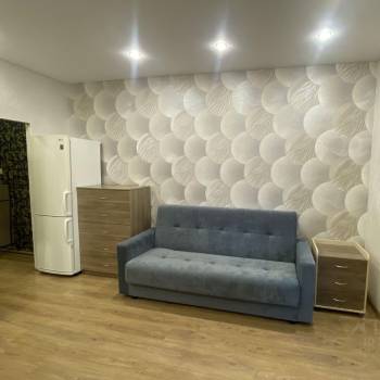 Сдается 1-комнатная квартира, 24,3 м²