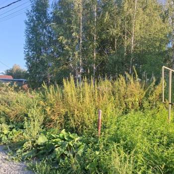Продается Участок, 570 м²