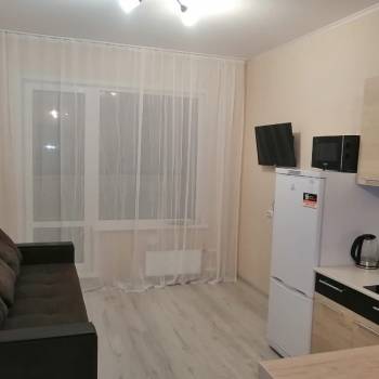 Сдается 1-комнатная квартира, 24,5 м²