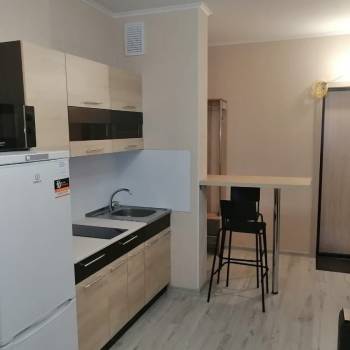 Сдается 1-комнатная квартира, 24,5 м²