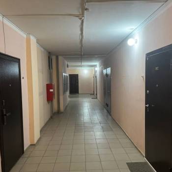 Продается 1-комнатная квартира, 24,2 м²