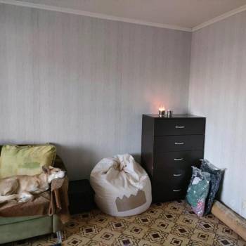 Сдается 1-комнатная квартира, 34,9 м²